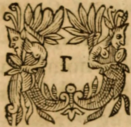 An illustration from Petri Francisci Phrygii ... Commentarii in historias epidemicas Hippocratis : in tres partes digesti .., 1644, leaf 355