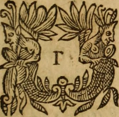 An illustration from Petri Francisci Phrygii ... Commentarii in historias epidemicas Hippocratis : in tres partes digesti .., 1644, leaf 364