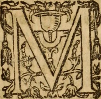 An illustration from Petri Francisci Phrygii ... Commentarii in historias epidemicas Hippocratis : in tres partes digesti .., 1644, leaf 364