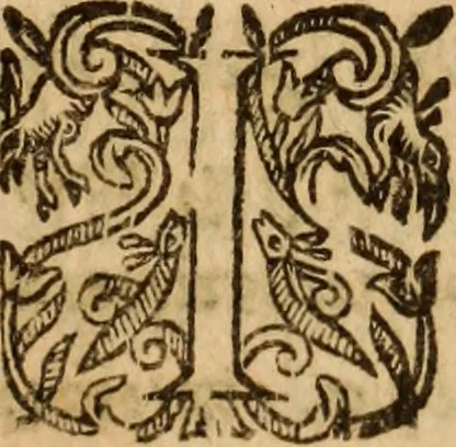 An illustration from Petri Francisci Phrygii ... Commentarii in historias epidemicas Hippocratis : in tres partes digesti .., 1644, leaf 376