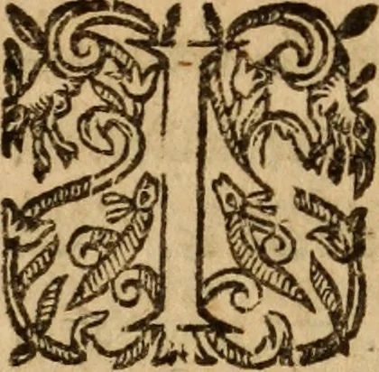 An illustration from Petri Francisci Phrygii ... Commentarii in historias epidemicas Hippocratis : in tres partes digesti .., 1644, leaf 408