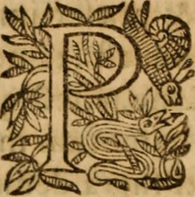 An illustration from Petri Francisci Phrygii ... Commentarii in historias epidemicas Hippocratis : in tres partes digesti .., 1644, leaf 429