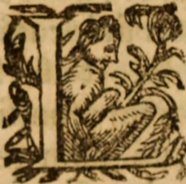 An illustration from Petri Francisci Phrygii ... Commentarii in historias epidemicas Hippocratis : in tres partes digesti .., 1644, leaf 443