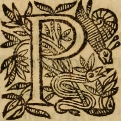 An illustration from Petri Francisci Phrygii ... Commentarii in historias epidemicas Hippocratis : in tres partes digesti .., 1644, leaf 452