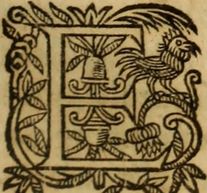 An illustration from Petri Francisci Phrygii ... Commentarii in historias epidemicas Hippocratis : in tres partes digesti .., 1644, leaf 460