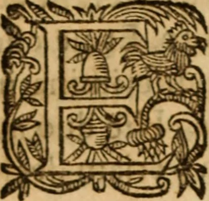 An illustration from Petri Francisci Phrygii ... Commentarii in historias epidemicas Hippocratis : in tres partes digesti .., 1644, leaf 493