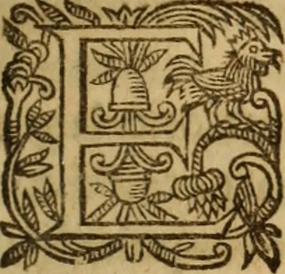 An illustration from Petri Francisci Phrygii ... Commentarii in historias epidemicas Hippocratis : in tres partes digesti .., 1644, leaf 508