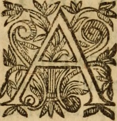 An illustration from Petri Francisci Phrygii ... Commentarii in historias epidemicas Hippocratis : in tres partes digesti .., 1644, leaf 508