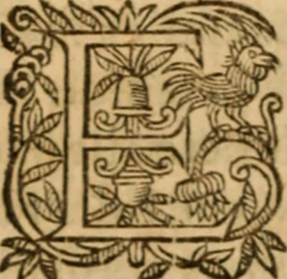 An illustration from Petri Francisci Phrygii ... Commentarii in historias epidemicas Hippocratis : in tres partes digesti .., 1644, leaf 515