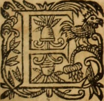 An illustration from Petri Francisci Phrygii ... Commentarii in historias epidemicas Hippocratis : in tres partes digesti .., 1644, leaf 528
