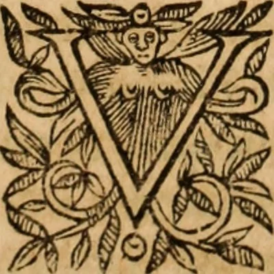 An illustration from Petri Francisci Phrygii ... Commentarii in historias epidemicas Hippocratis : in tres partes digesti .., 1644, leaf 528