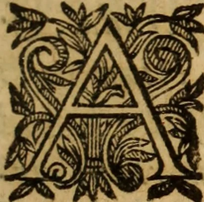 An illustration from Petri Francisci Phrygii ... Commentarii in historias epidemicas Hippocratis : in tres partes digesti .., 1644, leaf 536