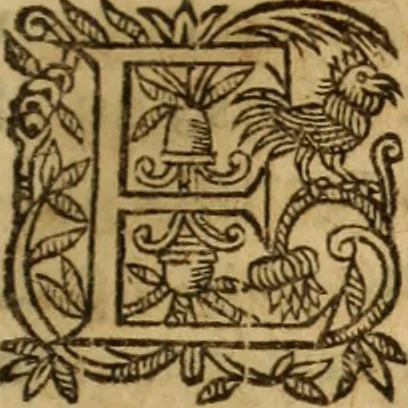 An illustration from Petri Francisci Phrygii ... Commentarii in historias epidemicas Hippocratis : in tres partes digesti .., 1644, leaf 556