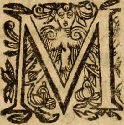 An illustration from Petri Francisci Phrygii ... Commentarii in historias epidemicas Hippocratis : in tres partes digesti .., 1644, leaf 556
