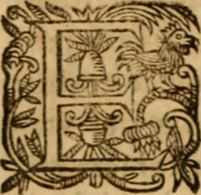 An illustration from Petri Francisci Phrygii ... Commentarii in historias epidemicas Hippocratis : in tres partes digesti .., 1644, leaf 565