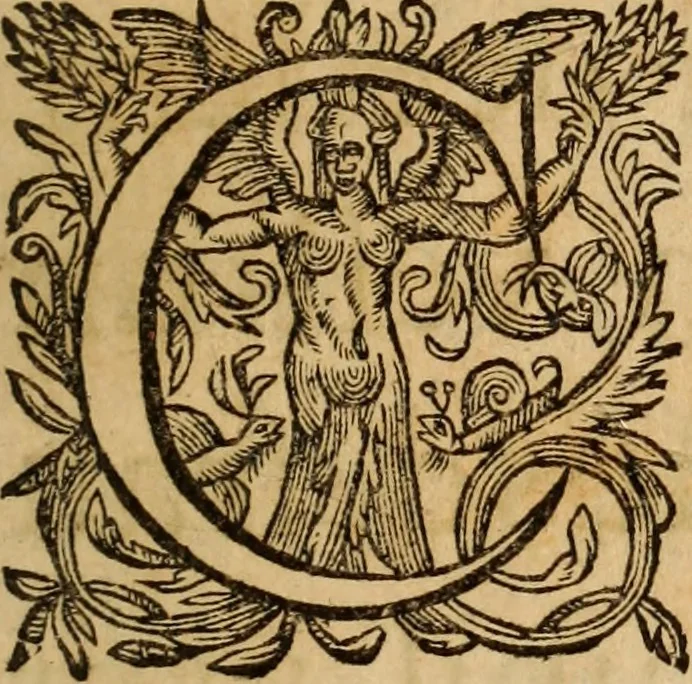 An illustration from Petri Francisci Phrygii ... Commentarii in historias epidemicas Hippocratis : in tres partes digesti .., 1644, leaf 8