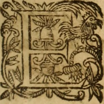 An illustration from Petri Francisci Phrygii ... Commentarii in historias epidemicas Hippocratis : in tres partes digesti .., 1644, leaf 82