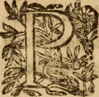 An illustration from Petri Francisci Phrygii ... Commentarii in historias epidemicas Hippocratis : in tres partes digesti .., 1644, leaf 82