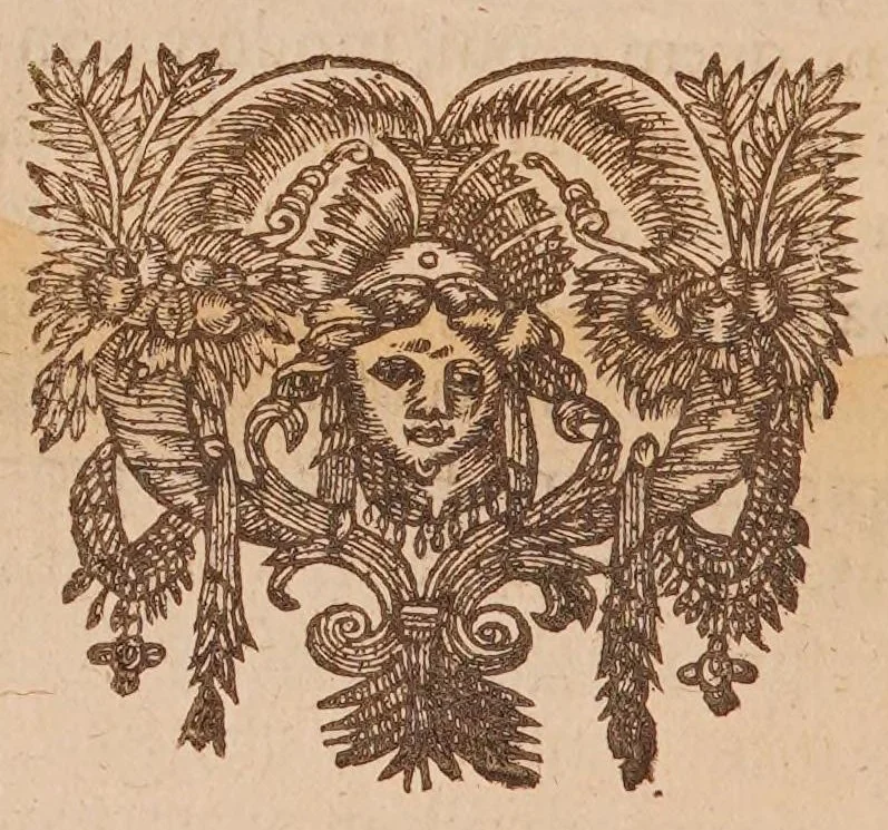 An illustration from Petri Gassendi De proportione, qva gravia decidentia accelerantvr. Epistolae tres, 1646, leaf 358