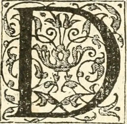 An illustration from Petri Gyllii De topographia Constantinopoleos, et de illivs antiqvitatibvs libri qvatvor, 1562, leaf 10