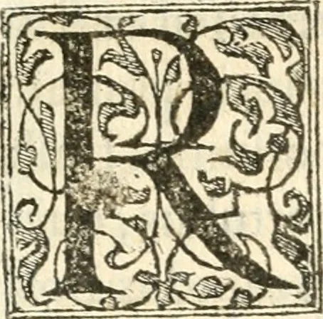 An illustration from Petri Gyllii De topographia Constantinopoleos, et de illivs antiqvitatibvs libri qvatvor, 1562, leaf 148