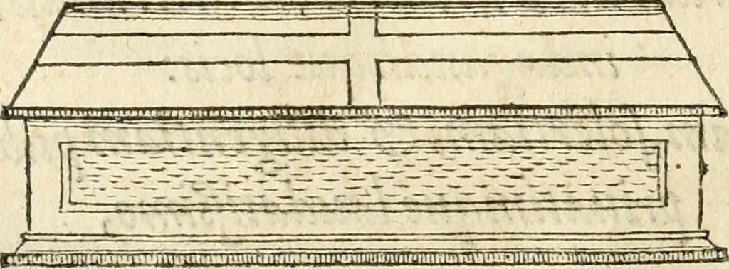 An illustration from Petri Gyllii De topographia Constantinopoleos, et de illivs antiqvitatibvs libri qvatvor, 1562, leaf 15