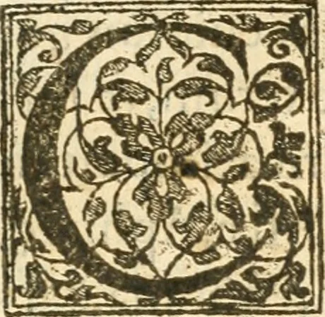 An illustration from Petri Gyllii De topographia Constantinopoleos, et de illivs antiqvitatibvs libri qvatvor, 1562, leaf 16