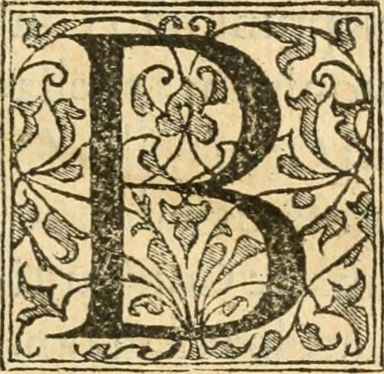 An illustration from Petri Gyllii De topographia Constantinopoleos, et de illivs antiqvitatibvs libri qvatvor, 1562, leaf 24
