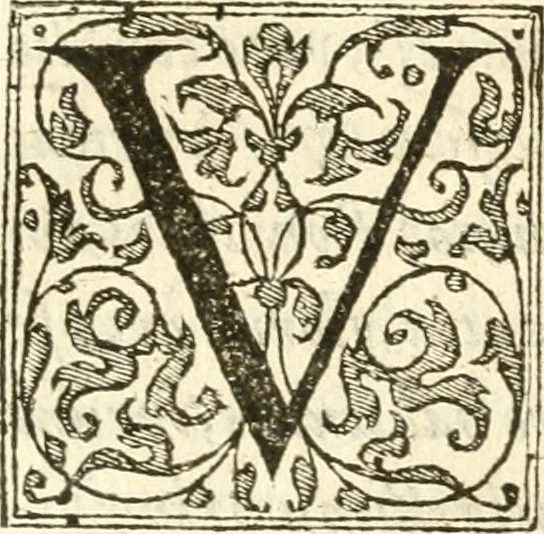 An illustration from Petri Gyllii De topographia Constantinopoleos, et de illivs antiqvitatibvs libri qvatvor, 1562, leaf 266