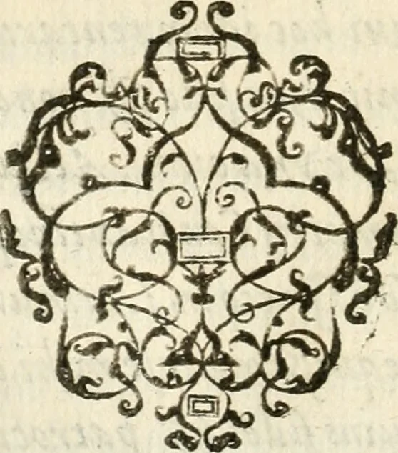 An illustration from Petri Gyllii De topographia Constantinopoleos, et de illivs antiqvitatibvs libri qvatvor, 1562, leaf 269