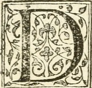 An illustration from Petri Gyllii De topographia Constantinopoleos, et de illivs antiqvitatibvs libri qvatvor, 1562, leaf 270