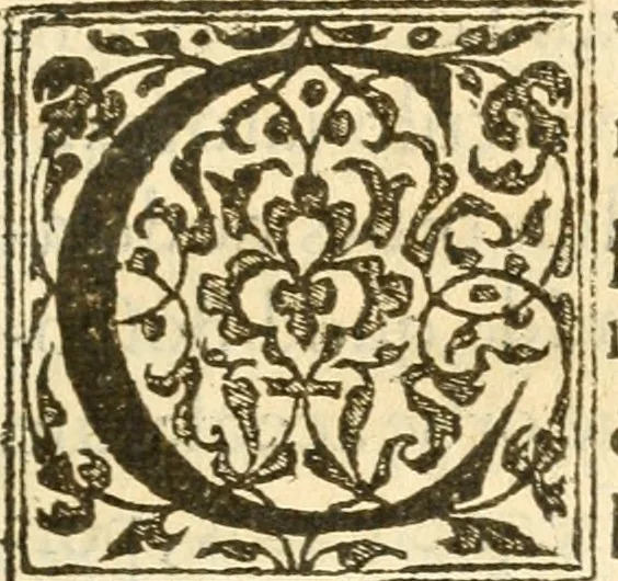 An illustration from Petri Gyllii De topographia Constantinopoleos, et de illivs antiqvitatibvs libri qvatvor, 1562, leaf 272
