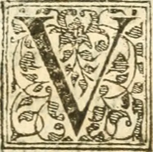 An illustration from Petri Gyllii De topographia Constantinopoleos, et de illivs antiqvitatibvs libri qvatvor, 1562, leaf 300