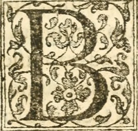 An illustration from Petri Gyllii De topographia Constantinopoleos, et de illivs antiqvitatibvs libri qvatvor, 1562, leaf 320