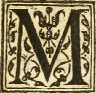 An illustration from Petri Gyllii De topographia Constantinopoleos, et de illivs antiqvitatibvs libri qvatvor, 1562, leaf 322