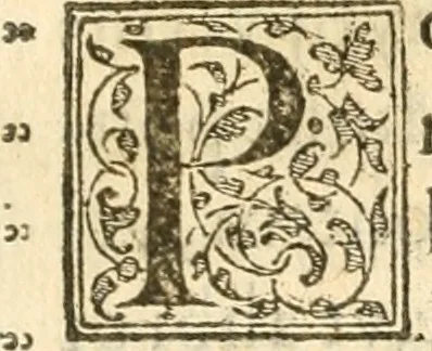 An illustration from Petri Gyllii De topographia Constantinopoleos, et de illivs antiqvitatibvs libri qvatvor, 1562, leaf 344