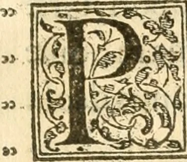An illustration from Petri Gyllii De topographia Constantinopoleos, et de illivs antiqvitatibvs libri qvatvor, 1562, leaf 352