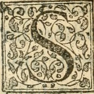 An illustration from Petri Gyllii De topographia Constantinopoleos, et de illivs antiqvitatibvs libri qvatvor, 1562, leaf 357