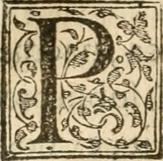 An illustration from Petri Gyllii De topographia Constantinopoleos, et de illivs antiqvitatibvs libri qvatvor, 1562, leaf 365