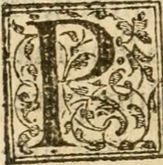 An illustration from Petri Gyllii De topographia Constantinopoleos, et de illivs antiqvitatibvs libri qvatvor, 1562, leaf 401