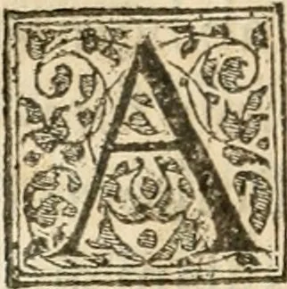 An illustration from Petri Gyllii De topographia Constantinopoleos, et de illivs antiqvitatibvs libri qvatvor, 1562, leaf 411