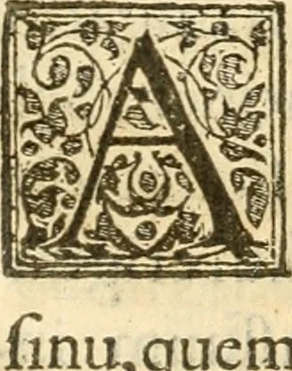 An illustration from Petri Gyllii De topographia Constantinopoleos, et de illivs antiqvitatibvs libri qvatvor, 1562, leaf 414