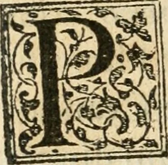 An illustration from Petri Gyllii De topographia Constantinopoleos, et de illivs antiqvitatibvs libri qvatvor, 1562, leaf 439