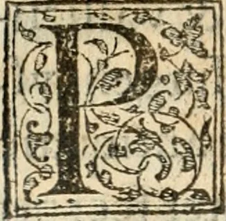 An illustration from Petri Gyllii De topographia Constantinopoleos, et de illivs antiqvitatibvs libri qvatvor, 1562, leaf 441