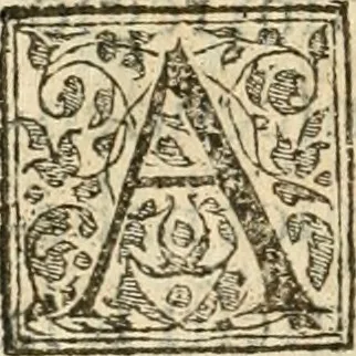 An illustration from Petri Gyllii De topographia Constantinopoleos, et de illivs antiqvitatibvs libri qvatvor, 1562, leaf 457