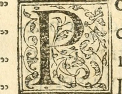 An illustration from Petri Gyllii De topographia Constantinopoleos, et de illivs antiqvitatibvs libri qvatvor, 1562, leaf 462