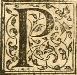 An illustration from Petri Gyllii De topographia Constantinopoleos, et de illivs antiqvitatibvs libri qvatvor, 1562, leaf 466