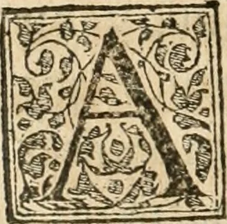 An illustration from Petri Gyllii De topographia Constantinopoleos, et de illivs antiqvitatibvs libri qvatvor, 1562, leaf 483