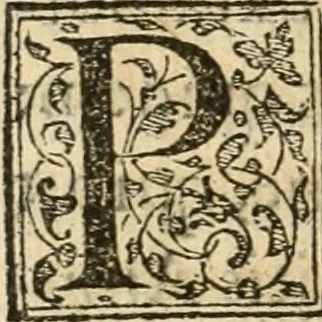 An illustration from Petri Gyllii De topographia Constantinopoleos, et de illivs antiqvitatibvs libri qvatvor, 1562, leaf 495