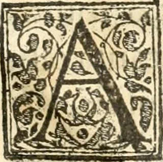 An illustration from Petri Gyllii De topographia Constantinopoleos, et de illivs antiqvitatibvs libri qvatvor, 1562, leaf 528